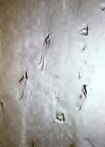 footprints cisland
